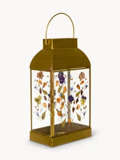 Lanterna in vetro ed ottone con fiori secchi