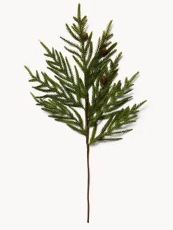 Rametto cryptomeria con pigne