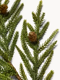 Rametto cryptomeria con pigne